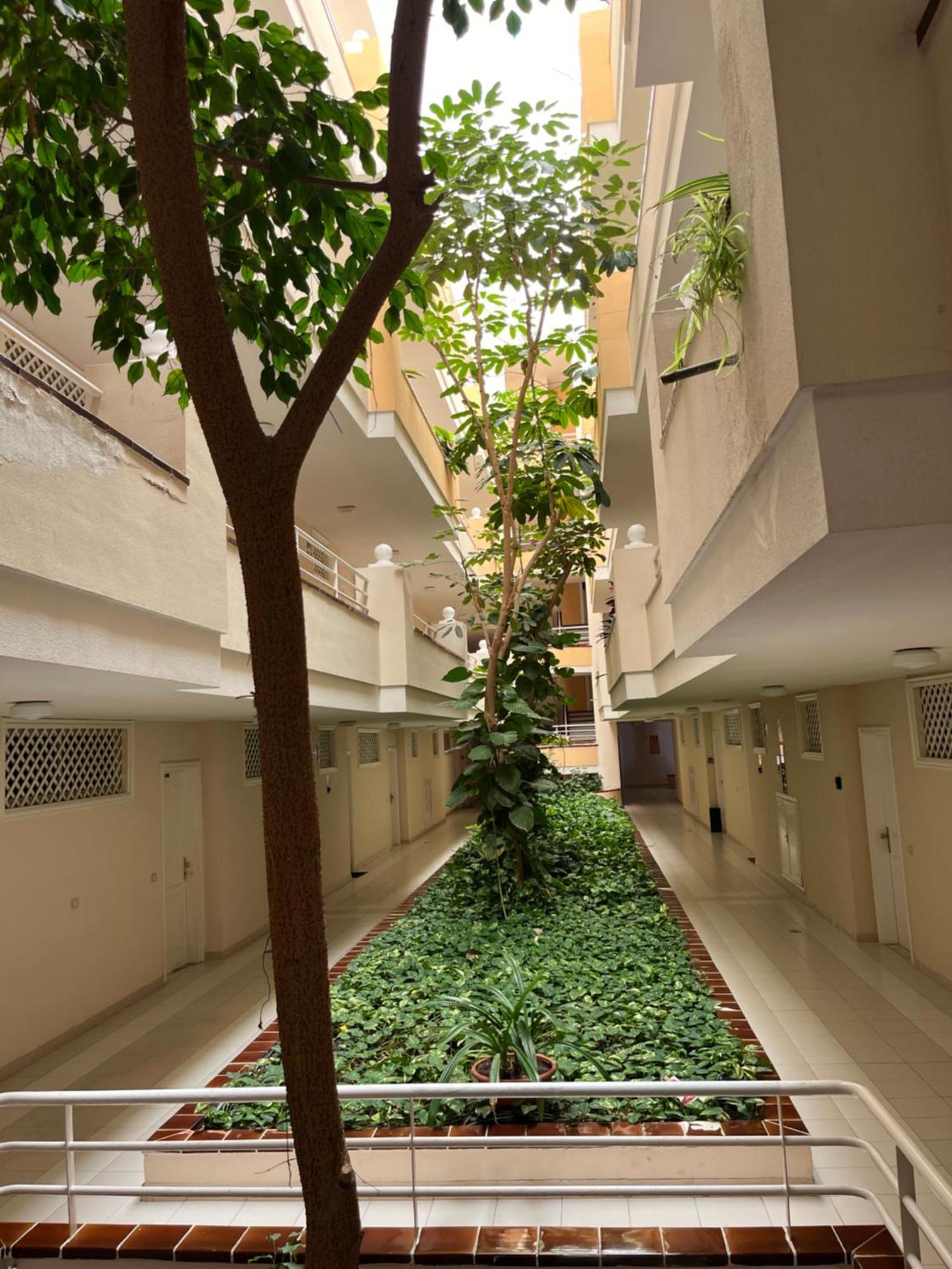 Lory Sweet Home Puerto de Santiago  Ngoại thất bức ảnh